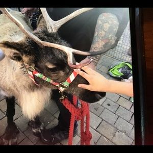 Meet your Posher, Alison